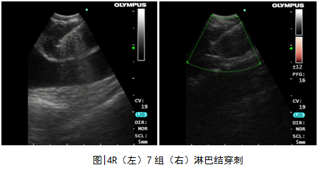 微信圖片_20241225114724.png